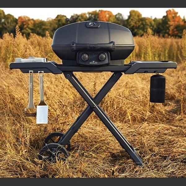 Deluxe Gas BBQ Grill: Portable & Foldable with Temperature Control