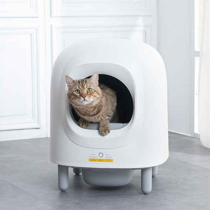 Smart Automatic Self-Cleaning Cat Litter Box with App Control & Eco-Friendly Design