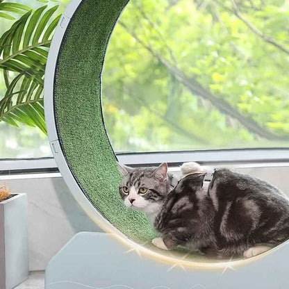 Quiet Cat Exercise Wheel