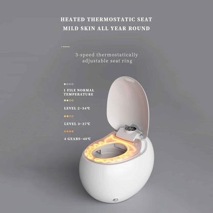 Deluxe Egg-Shaped Smart Toilet with Foot Flush and Warm Air Drying