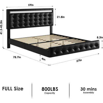 Queen Bed Frame with LED Lights