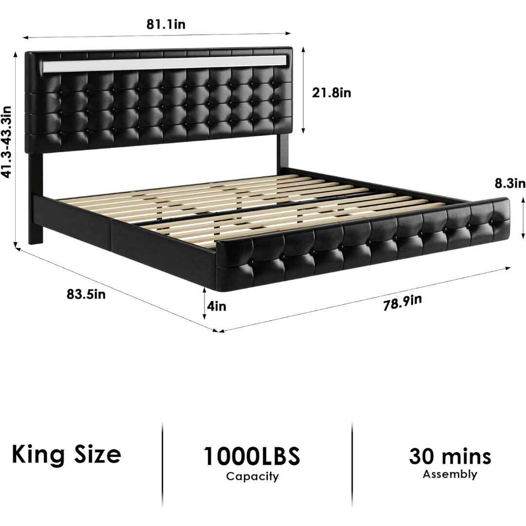 Queen Bed Frame with LED Lights