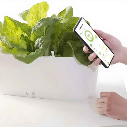 Smart Planter with Real-time Temperature and Soil Moisture Monitoring