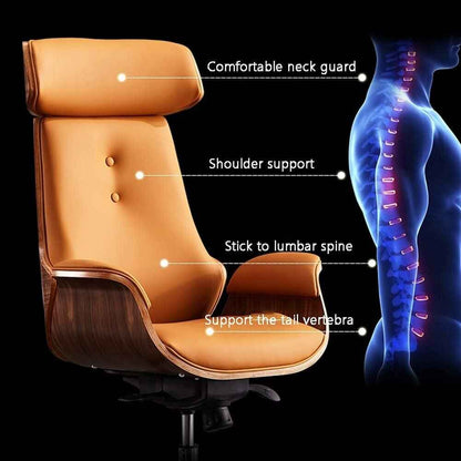 Luxury Ergonomic Office Chair Back Rest