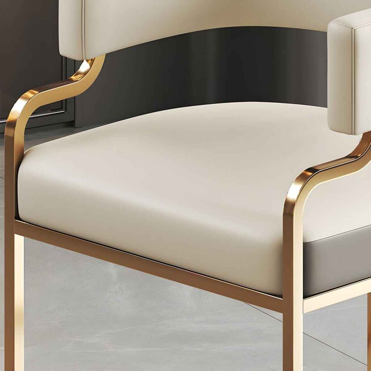 Luxurious Nordic Metal Dining Chair with Ergonomic Design and Handrails Close up