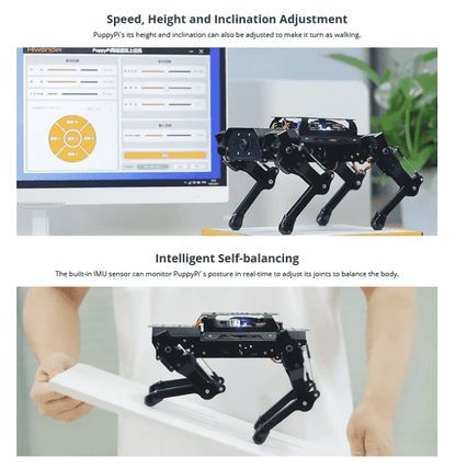 AI Vision Quadruped Robot