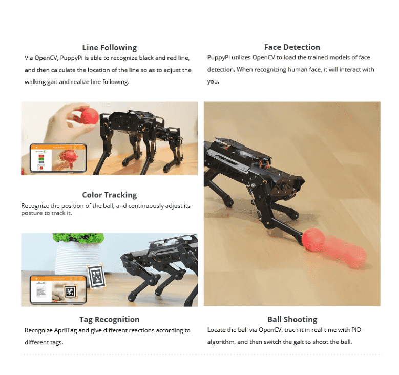 AI Vision Quadruped Robot