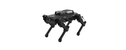 AI Vision Quadruped Robot