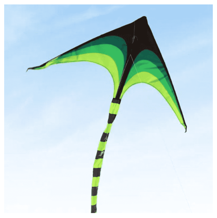 Large Delta Kite for Outdoor Sports