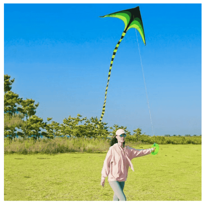 Large Delta Kite for Outdoor Sports