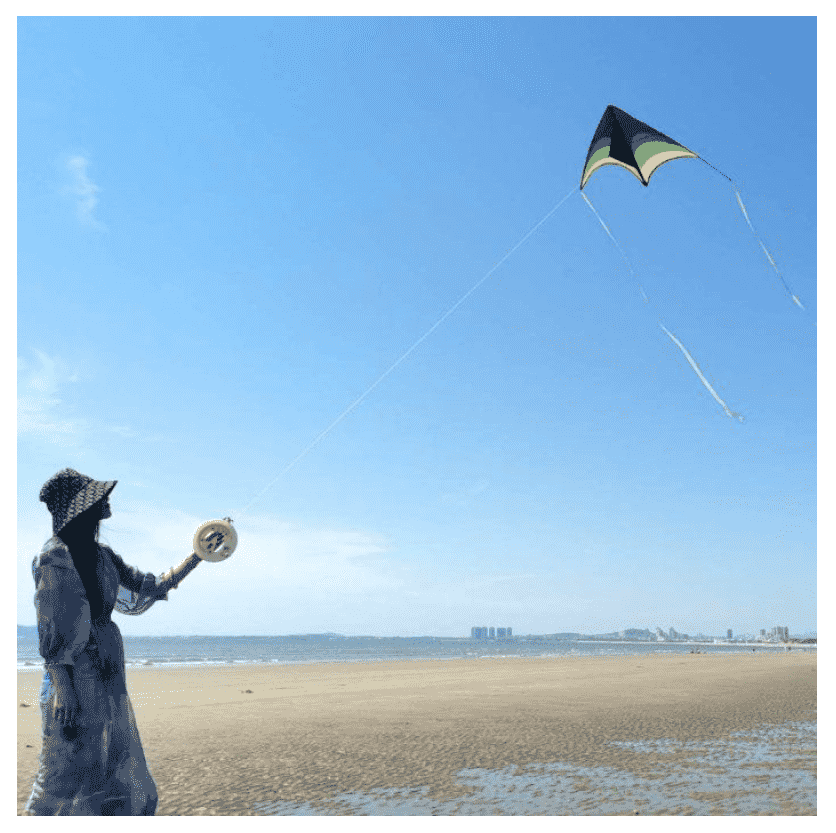 Large Delta Kite for Outdoor Sports